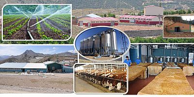 Kırsal Kalkınma Destekleme Başvuru Süresi Uzatıldı