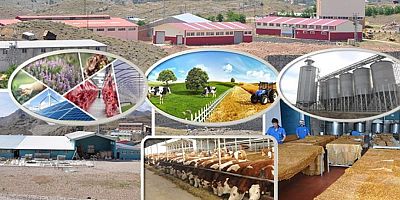 KIRSAL KALKINMA HİBE BAŞVURULARI BAŞLADI