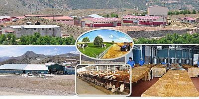 Kırsal Kalkınma  Hibe Başvuruları Devam Ediyor