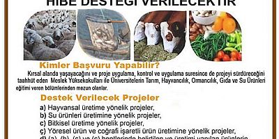 Kırsal kalkınma için 100 bin lira hibe verilecek