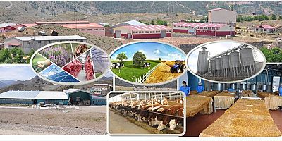 Kırsal Kalkınma Yatırımlarının Desteklenmesine Yönelik Hibe Başvuruları Başladı