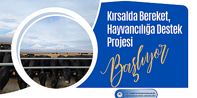 Kırsalda Bereket, Hayvancılığa Destek Projesi Kriter ve Başvuru Şartları