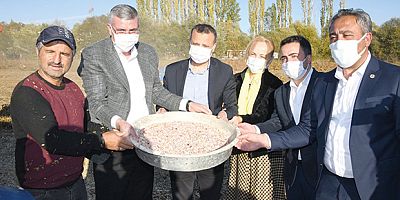 KÖSE’DE KURU FASULYE HASADI YAPILDI