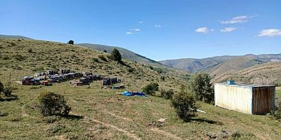 Kovan hırsızları Yakalandı