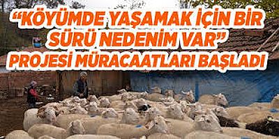 Köyümde Yaşamak İçin Bir Sürü Nedenim Var.