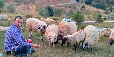 Kurban Bedellerindeki Artış Tepki Çekti