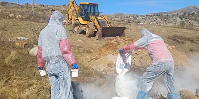 Kürtün’de 6 Köyde Hayvan Hareketlerine Kısıtlama Getirildi