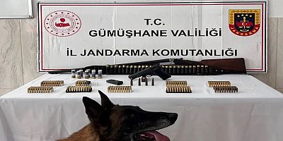 Kürtün’de Ruhsatsız Silah Ve Çok Sayıda Mühimmat Ele Geçirildi