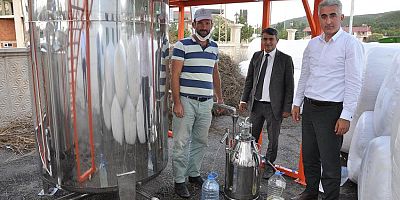 Lavanta Gümüşhane’de üreticinin gelir kapısı oldu