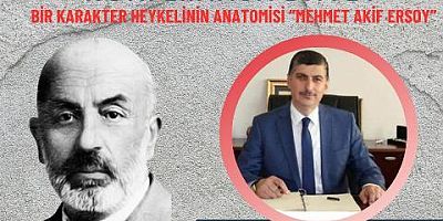 MEHMET AKİF ERSOY TORUL
