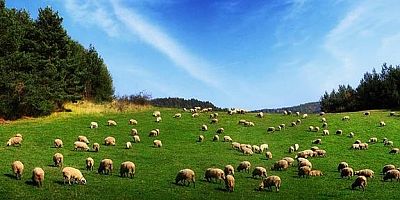 Mera Genelgesi yayımlandı
