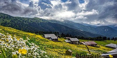 Mera Ve  Yayla Genelgesi Yayınlandı . 