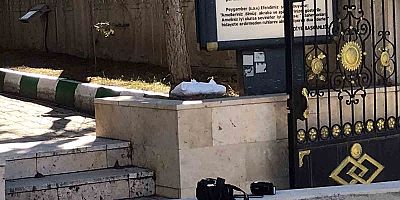 Beyaz torba içerisinde bebek cesedi sandılar, kedi çıktı
