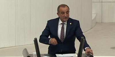 Milletvekili Küçük TBMM’de Gümüşhane’yi anlattı