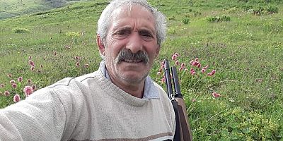 Odun yaparken hayatını kaybetti