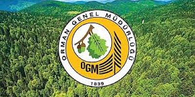 Orman Genel Müdürlüğü 4500 İşçi Alacak!