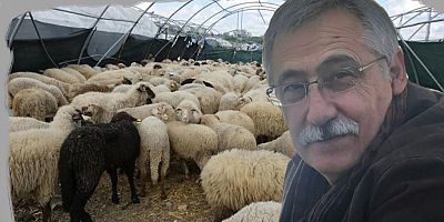 Prof. Dr. Zafer Ulutaş “Hayvancılık Güçlü Söylemlerle Değil, Planlı Politikalarla Ayağa Kalkar”