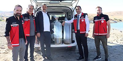 Sadak Barajına 120 bin sazan yavrusu bırakıldı