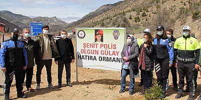 ŞEHİT POLİS OLGUN GÜLAY ADINA HATIRA ORMAN 