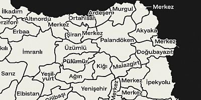 Şiran, Boşanmış Erkek Oranında İlk Sırada