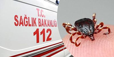 Şiran'da Bir Kadını Kene Isırdı