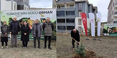 Şiran’da Ormancılar Haftası Coşkusu: Geleceğe Nefes Olan Fidanlar Toprakla Buluştu