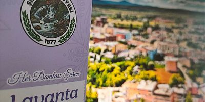 Şiran’da Üretilen Lavanta Hem Kente Hem de Ekonomisine Baharı Getirecek “Her Damlası Şiran”