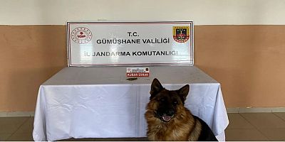 Şiran’da uyuşturucu operasyonu