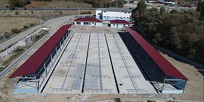 Şiran Modern Hayvan Pazarına Kavuşuyor