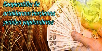 Tarımsal Amaçlı Kooperatiflerin Borçları Yapılandırılıyor