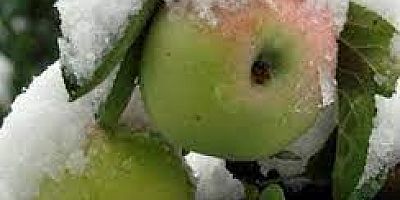 Tarsim  Teminat Altına Alınacak Riskler Belirledi.