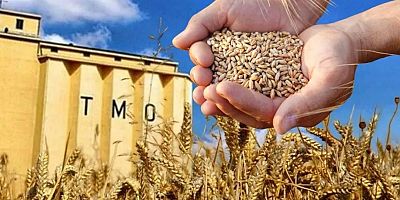 TMO, Kelkit’te Arpa ve Buğday Alımına Başlıyor