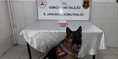 Torul’da sentetik ecza ele geçirildi