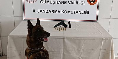 Torul’da yol kontrolünde ruhsatsız tabanca yakalandı