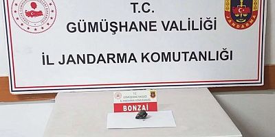 Trabzon’dan Gümüşhane’ye Bonzai Getiren 3 Şüpheli Yakalandı