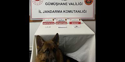 Trabzon’dan Gümüşhane’ye uyuşturucu getiren şahıs yakalandı