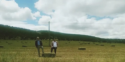TÜHAK Başkanı Demirel’den Uyarı: “Mera Kaybı Hayvancılığı Bitirir, Yapay Ete Mahkûm Kalırız”