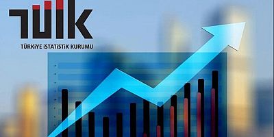 TÜİK Gümüşhane'de Kurulan Şirket Sayısını Açıkladı!