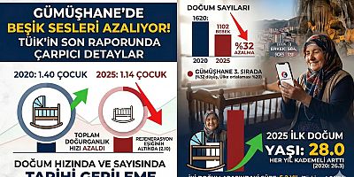TÜİK’in Son Raporunda Çarpıcı Gümüşhane Detayları