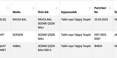 Türkiye’de Sahte Bal Markaları Açıklandı: Kelkit'ten Bir Markada Listede!