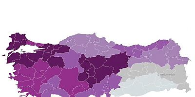 Türkiye Zeka Haritası Yayınlandı: Doğu Karadeniz’in Yükselen Yıldızı Gümüşhane