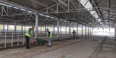 Üreticilerin Gözbebeği: Kelkit Hayvan Pazarı Yeniden Faaliyette