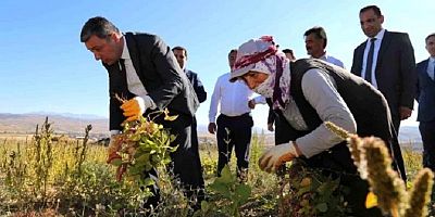 ÜRETİM DÜŞTÜ FİYAT ARTTI 