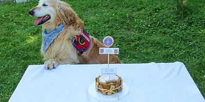 Uyuşturucu arama köpeği ‘Altın’ pasta kesilerek emekli edildi