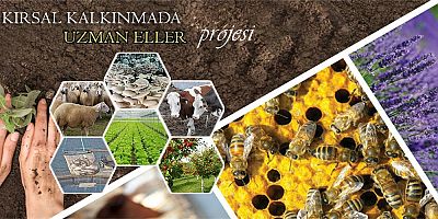 Uzman Eller Projesinde 12 Proje  Hak Kazandı