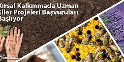  Uzman Eller Projesine Müracaatlar Başladı