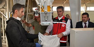 Vali Baruş, Kelkit’te traktörle fasulye hasadı yaptı