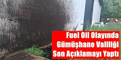 Valilik hem cezayı açıkladı, hem de fotoğrafları paylaştı