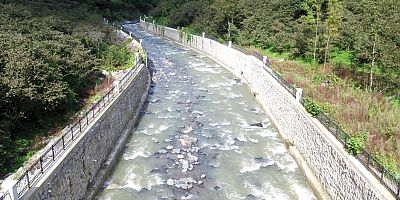 YAŞAM ALANLARI PARÇALANIYOR”