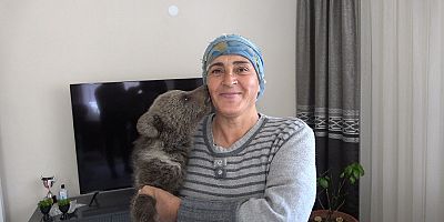 Yavru ayı ‘Yogi’ evin maskotu oldu